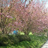 xdz4/xdz4_arg/xdz4_arg_d/xdz4_arg_d192/xdz4_arg_d192_2004-05-14 Bedaio-Altzo/xdz4_arg_d192_2004-05-14_Bedaio-Altzo_DSCN0006.JPG