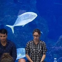 KULTURARTEA. EUROPA BAT-BATEAN. TOPAKETAK -  Emanaldiak -