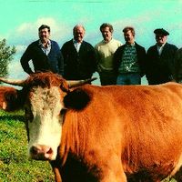 xdz4_arg/xdz4_arg/xdz4_arg_d/xdz4_arg_d303/xdz4_arg_d303_b 28 B/xdz4_arg_d303_b 28 B_29-RCL.1BERTSO.ngs1.jpg