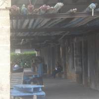 BERTSO-UDALEKUAK 2010 (X.a. 2010. Orio) -