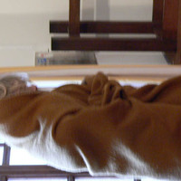 xdz4_arg/xdz4_arg/xdz4_arg_d/xdz4_arg_d444/xdz4_arg_d444_2007-04-00 Iparraldea/xdz4_arg_d444_2007-04-00-Iparraldea_P1080634.jpg