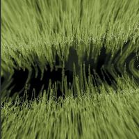 xdz4/xdz4_arg/xdz4_arg_d/xdz4_arg_d334/xdz4_arg_d334_Pantalla 38.jpg