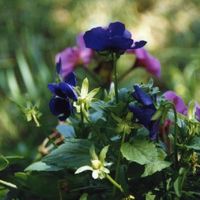 xdz4/xdz4_arg/xdz4_arg_d/xdz4_arg_d241/xdz4_arg_d241_Sin título-3.jpg