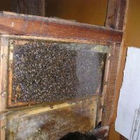 xdz4/xdz4_arg/xdz4_arg_d/xdz4_arg_d233/xdz4_arg_d233_UDALEKUAK 2004/Zarautz Uztaila 2. txanda/xdz4_arg_d233_2004_UDALEKUAK_Zarautz Uztaila 2. txanda_P1010207.JPG