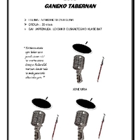 Bizkaiko bertsolari txapelketa 2010 Ganeko tabernan