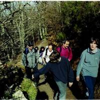 xdz4/xdz4_arg/xdz4_arg_d/xdz4_arg_d329/xdz4_arg_d329_B45/xdz4_arg_d329_B45_argazkiak B45/xdz4_arg_d329_B45_argazkiakB45_and4.jpg