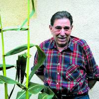 xdz4/xdz4_arg/xdz4_arg_d/xdz4_arg_d331/xdz4_arg_d331_B47 irudiak2/xdz4_arg_d331_B47 irudiak2_ereñozu04.jpg