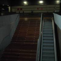 xdz4_arg/xdz4_arg/xdz4_arg_d/xdz4_arg_d553/xdz4_arg_d553_2008/xdz4_arg_d553_2008_2008 txapelketa/xdz4_arg_d553_2008_2008-txapelketa_BEC/xdz4_arg_d553_2008_2008-txapelketa_BEC_toma de kontakto/xdz4_arg_d553_2008-txapelketa_toma-de-kontakto_PICT0398.jpg