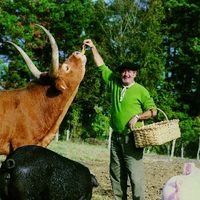 xdz4/xdz4_arg/xdz4_arg_d/xdz4_arg_d315/xdz4_arg_d315_b 35 c jpg/xdz4_arg_d315_b 35 c jpg_PORTADA2.jpg