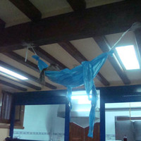 xdz4_arg/xdz4_arg/xdz4_arg_d/xdz4_arg_d512/xdz4_arg_d512_3. eguna/xdz4_arg_d512_3.eguna_DSC00801.jpg