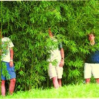 xdz4/xdz4_arg/xdz4_arg_d/xdz4_arg_d324/xdz4_arg_d324_b39 cd2/xdz4_arg_d324_b39 cd2_gc.jpg