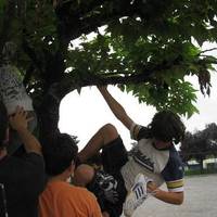 xdz4_arg/xdz4_arg/xdz4_arg_d/xdz4_arg_d628/Oierrenak/5. eguna/xdz4_arg_d628_Oierrenak_5_IMG_0906.jpg