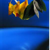 xdz4_arg/xdz4_arg/xdz4_arg_d/xdz4_arg_d328/xdz4_arg_d328_B46/xdz4_arg_d328_B46_1. irudiak B46/xdz4_arg_d328_B46_1.irudiak_amuriza.jpg