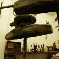 xdz4_arg/xdz4_arg/xdz4_arg_d/xdz4_arg_d626/Bertso afaria 090717/xdz4_arg_d626_Bertso-afaria-090717_Bertso afaria 037.jpg