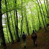 xdz4/xdz4_arg/xdz4_arg_d/xdz4_arg_d192/xdz4_arg_d192_2004-05-14 Bedaio-Altzo/xdz4_arg_d192_2004-05-14_Bedaio-Altzo_DSCN0041.JPG