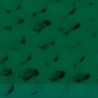 BERTSOLARI ALDIZKARIA (50.. zk.) -