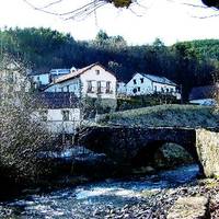 BERTSOLARI ALDIZKARIA (77. zk.) -  900 urte... eta Gartxot bizirik -