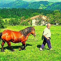 xdz4_arg/xdz4_arg/xdz4_arg_d/xdz4_arg_d303/xdz4_arg_d303_b 28 B/xdz4_arg_d303_b 28 B_10-RCJ.BERTSO.ngs1.jpg