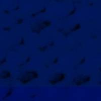 xdz4/xdz4_arg_d/xdz4_arg_d327/xdz4_arg_d327_tif b41 CD1/xdz4_arg_d327_41CD1_ja1.jpg