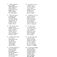 Bertsolaritza:  Izenburua: Nere ametsa