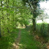 xdz4/xdz4_arg/xdz4_arg_d/xdz4_arg_d192/xdz4_arg_d192_2004-05-14 Bedaio-Altzo/xdz4_arg_d192_2004-05-14_Bedaio-Altzo_DSCN0004.JPG