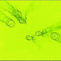 xdz4/xdz4_arg/xdz4_arg_d/xdz4_arg_d343/xdz4_arg_d343_B54/xdz4_arg_d343_B54.irudiak-B/xdz4_arg_d343_B54.irudiak-B_Pantalla 20.jpg