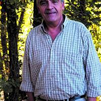 xdz4/xdz4_arg/xdz4_arg_d/xdz4_arg_d331/xdz4_arg_d331_B47 irudiak2/xdz4_arg_d331_B47 irudiak2_lopategi06.jpg