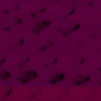 xdz4/xdz4_arg_d/xdz4_arg_d327/xdz4_arg_d327_tif b41 CD2/xdz4_arg_d327_41CD2_xz1.jpg