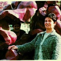 xdz4/xdz4_arg/xdz4_arg_d/xdz4_arg_d320/xdz4_arg_d320_b37 b/xdz4_arg_d320_b37 b_kd2.jpg