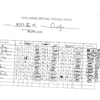 Bertsolaritza:  Arratsaldeko saioa