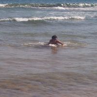 xdz4/xdz4_arg/xdz4_arg_d/xdz4_arg_d233/xdz4_arg_d233_udalekuak2005/2.txanda-Mirenen kamara/xdz4_arg_d233_2005_udalekuak_2. txanda-Mirenen kamara_etxe-txiki udalekuak 080.jpg