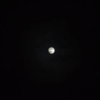 xdz4/xdz4_arg/xdz4_arg_d/xdz4_arg_d451/xdz4_arg_d451_2007-12-22 Altzo/xdz4_arg_d451_2007-12-22-Altzo_DSCF2963.jpg