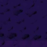 xdz4/xdz4_arg_d/xdz4_arg_d327/xdz4_arg_d327_tif b41 CD1/xdz4_arg_d327_41CD1_el1.jpg