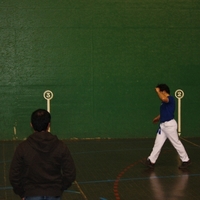 SAIOA ARAMAIO -  BERTSO-PILOTA -