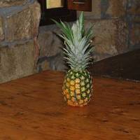 xdz4_arg/xdz4_arg/xdz4_arg_d/xdz4_arg_d638/2. eguna/xdz4_arg_d638_2.-eguna_DSC_0174.jpg