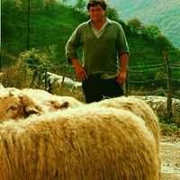 xdz4_arg/xdz4_arg/xdz4_arg_d/xdz4_arg_d303/xdz4_arg_d303_b 28 B/xdz4_arg_d303_b 28 B_52-RCL.2BERTSO.ngs1.jpg