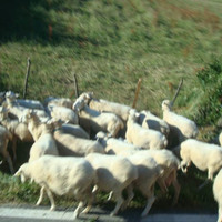 xdz4_arg/xdz4_arg/xdz4_arg_d/xdz4_arg_d512/xdz4_arg_d512_5. eguna/xdz4_arg_d512_5.eguna_DSC00961.jpg