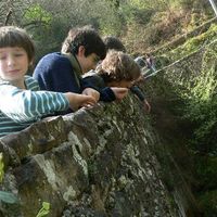 xdz4/xdz4_arg/xdz4_arg_d/xdz4_arg_d429/xdz4_arg_d429_2006-04-01-02 Bidarrai - IHINTZA/xdz4_arg_d429_2006-04-02_Bidarrai - IHINTZA_P1060645.JPG