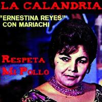 xdz4_arg/xdz4_arg/xdz4_arg/xdz4_arg_000631/xdz4_arg_000631_013_ernestina reyes.jpg