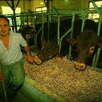 xdz4/xdz4_arg/xdz4_arg_d/xdz4_arg_d301/xdz4_arg_d301_b 27 b jpg/xdz4_arg_d301_b 27 b jpg_72-RCL.BERTSO.ngs1.jpg