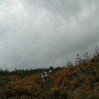 xdz4/xdz4_arg/xdz4_arg_d/xdz4_arg_d192/xdz4_arg_d192_2004-05-14 Bedaio-Altzo/xdz4_arg_d192_2004-05-14_Bedaio-Altzo_DSCN0029.JPG