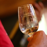 BERTSO-TXAKOLIN DASTATZEA LEZAMAN -