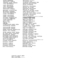 Bertsolaritza.  Bertso paperak: