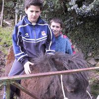 xdz4/xdz4_arg_d/xdz4_arg_d118/xdz4_arg_d118_Be Soraluze 2001 - Egoitz Unamuno/xdz4_arg_d118_Be Soraluze 2001 - Egoitz Unamuno_b txiki8.jpg