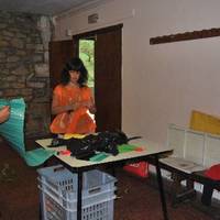 xdz4_arg/xdz4_arg/xdz4_arg_d/xdz4_arg_d638/6. eguna/xdz4_arg_d638_6.-eguna_DSC_0060.jpg