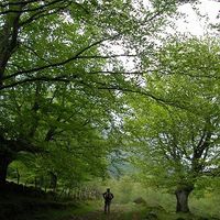 xdz4/xdz4_arg/xdz4_arg_d/xdz4_arg_d192/xdz4_arg_d192_2004-05-14 Bedaio-Altzo/xdz4_arg_d192_2004-05-14_Bedaio-Altzo_DSCN0022.JPG