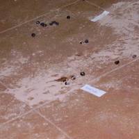 xdz4_arg/xdz4_arg/xdz4_arg_d/xdz4_arg_d621/zarautz txiki 1. txanda/xdz4_arg_d621_zarautz-txiki-1.-txanda_P6090072.jpg