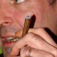 xdz4/xdz4_arg/xdz4_arg_d/xdz4_arg_d345/xdz4_arg_d345_2005-12-19 Egaña--A.IBAIBARRIAGA/xdz4_arg_d345_2005-12-19_Egaña--A.IBAIBARRIAGA_DSC03313.JPG