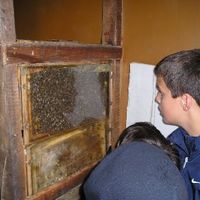 xdz4/xdz4_arg/xdz4_arg_d/xdz4_arg_d186/xdz4_arg_d186_UDALEKUAK 2004/xdz4_arg_d186_UDALEKUAK 2004_Zarautz Uztaila 2. txanda/xdz4_arg_d186_2004_UDALEKUAK_Zarautz Uztaila 2. txanda_P1010206.JPG