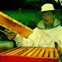 BERTSOLARI ALDIZKARIA (27. zk.) -  B -